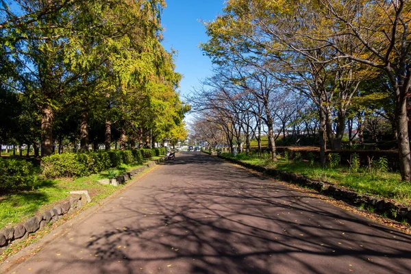 Tokios Herbst Hinterlässt Landschaft — Stockfoto