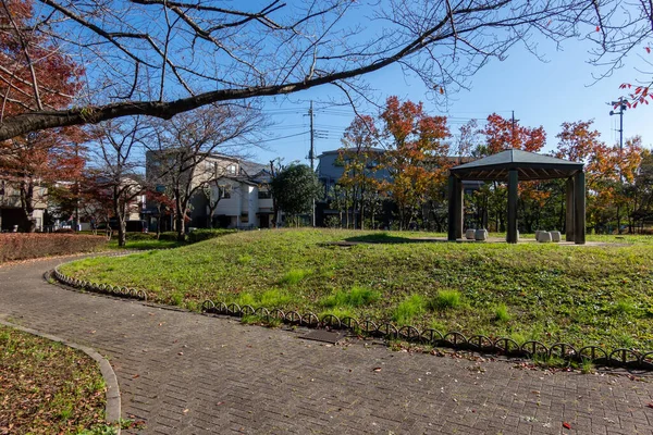 Tokio Hojas Otoño Paisaje —  Fotos de Stock