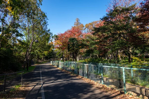 Tokios Herbst Hinterlässt Landschaft — Stockfoto