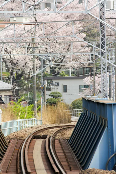 Caminho Ferro Japonês Dia Paisagem — Fotografia de Stock
