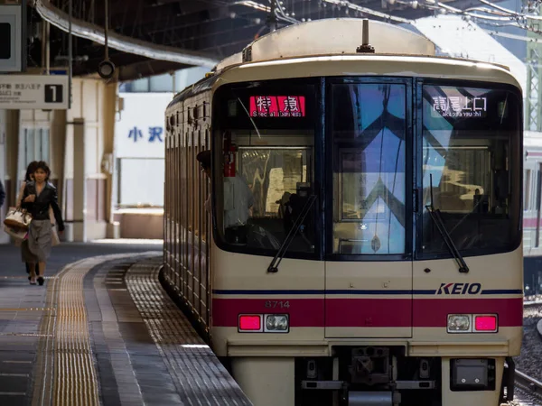 Día Del Paisaje Ferroviario Japonés — Foto de Stock