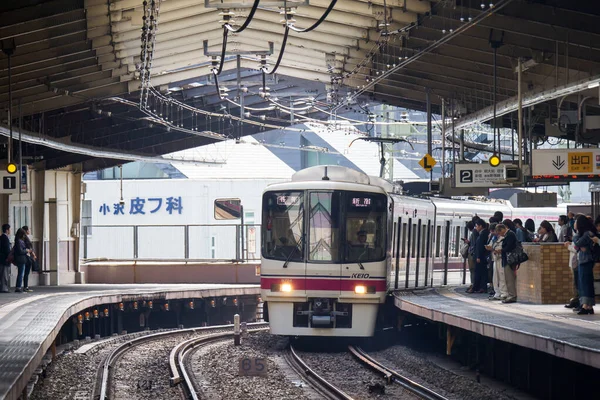 Giornata Del Paesaggio Ferroviario Giapponese — Foto Stock
