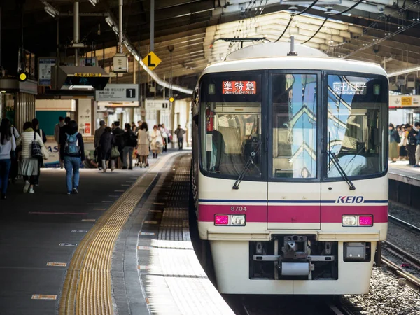 Японський День Залізничного Ландшафту — стокове фото