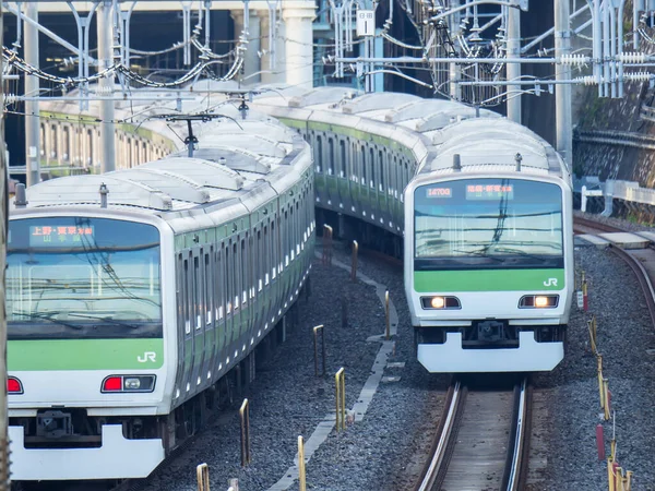 Giornata Del Paesaggio Ferroviario Giapponese — Foto Stock