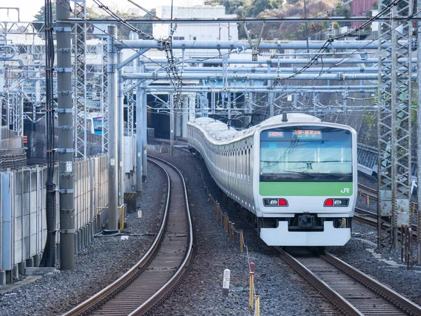 Giornata Del Paesaggio Ferroviario Giapponese — Foto Stock