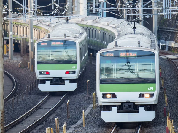 Giornata Del Paesaggio Ferroviario Giapponese — Foto Stock