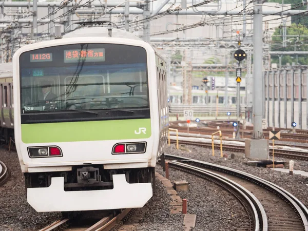 Японський День Залізничного Ландшафту — стокове фото