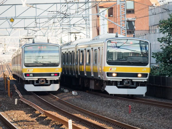 Giornata Del Paesaggio Ferroviario Giapponese — Foto Stock