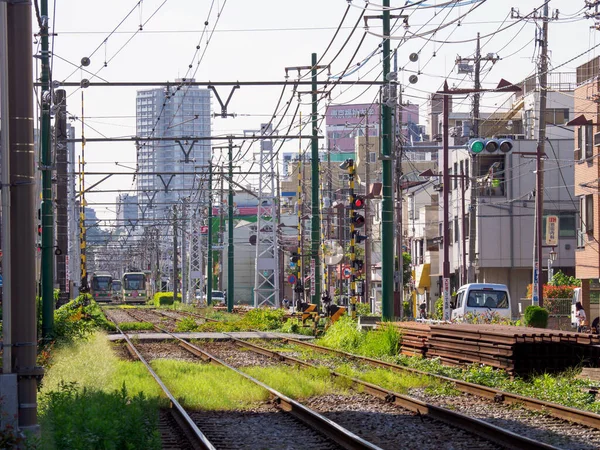 Japán Vasúti Tájkép Nap — Stock Fotó