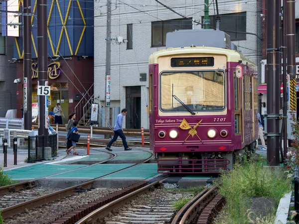 Japanse Spoorweg Landschapsdag — Stockfoto