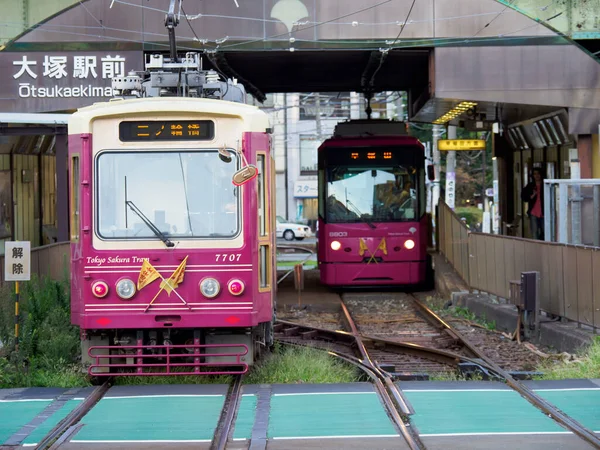 Japonský Den Krajiny Železnice — Stock fotografie