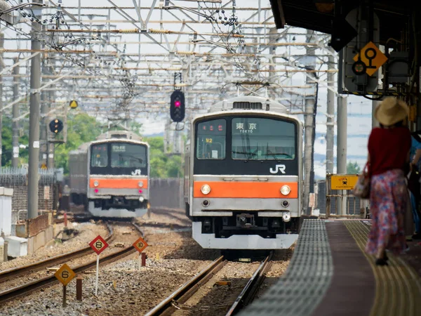 Japoński Kolejowy Dzień Krajobrazu — Zdjęcie stockowe