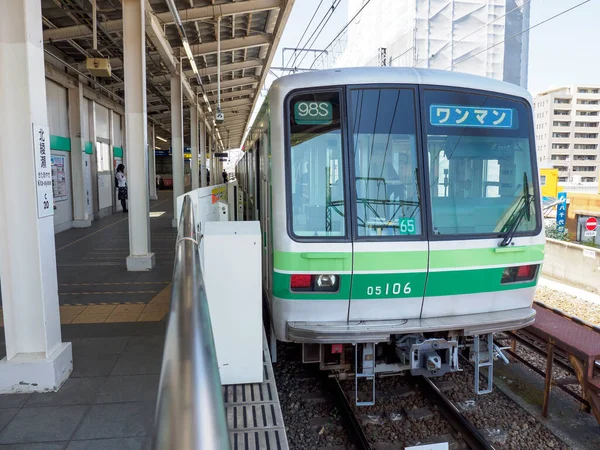 Giornata Del Paesaggio Ferroviario Giapponese — Foto Stock