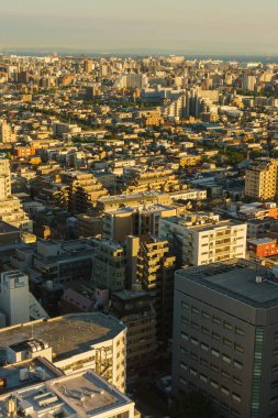 Japonya, Tokyo 'daki gözlem güvertesi