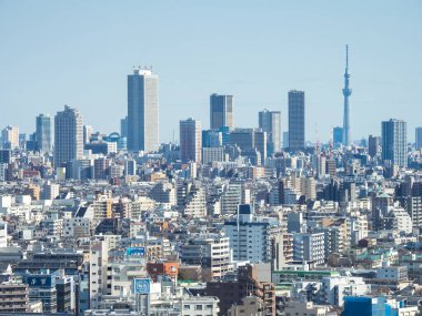 Japonya, Tokyo 'daki gözlem güvertesi