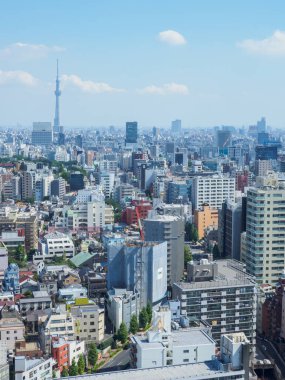 Japonya, Tokyo 'daki gözlem güvertesi