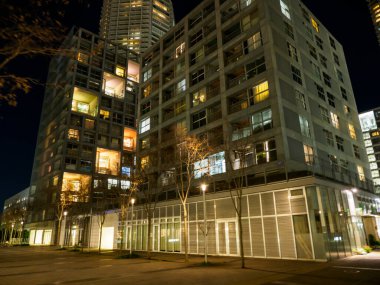 Japonya 'daki Shinonome Kanalı, Tokyo Gece Görüşü