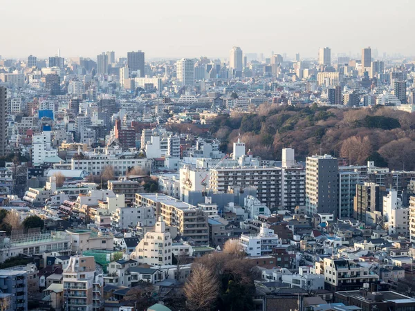 Convés Observação Japão Tóquio — Fotografia de Stock