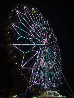 Japonya Dönme Dolap Manzarası