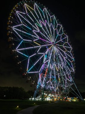 Japonya Dönme Dolap Manzarası