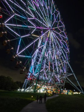 Japonya Dönme Dolap Manzarası