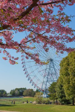 Japonya Dönme Dolap Manzarası