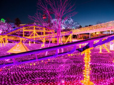 Japon Yomiuri Toprakları