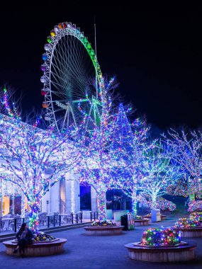 Japon Yomiuri Toprakları