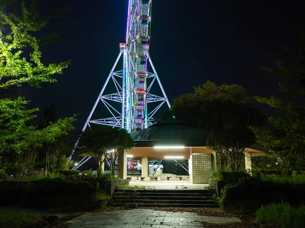 Japon Grande Roue Paysage — Photo