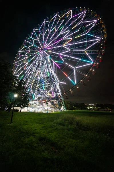 Japon Grande Roue Paysage — Photo