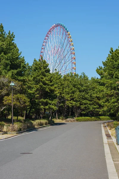 Japan Pariserhjul Landskap — Stockfoto