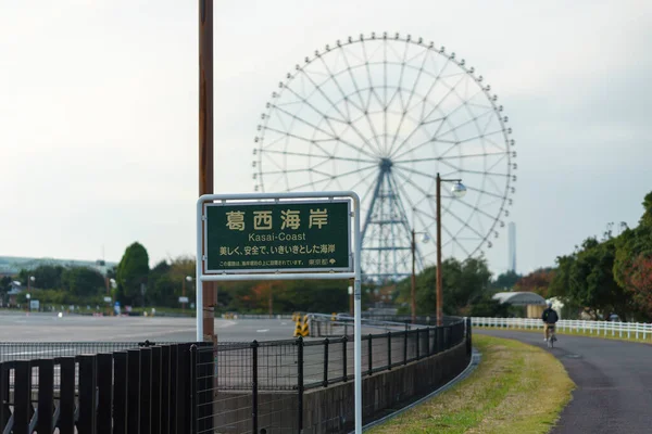 Japan Pariserhjul Landskap — Stockfoto