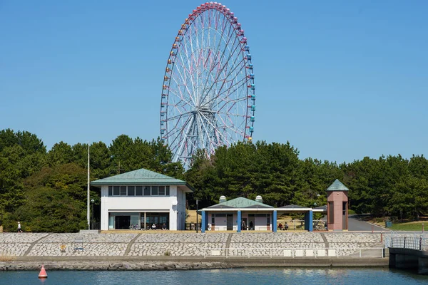 Japan Pariserhjul Landskap — Stockfoto