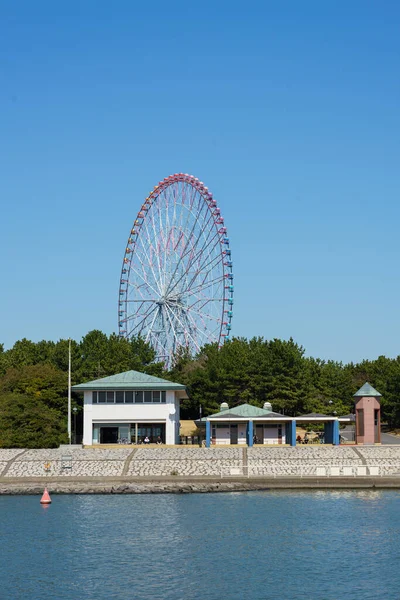 Japan Pariserhjul Landskap — Stockfoto