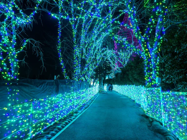 Japon Yomiuri Toprakları