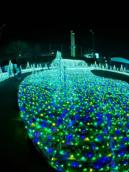 Giappone Yomiuri Land Landscape — Foto Stock