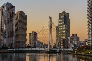 Tokyo 'daki Kule Konağı