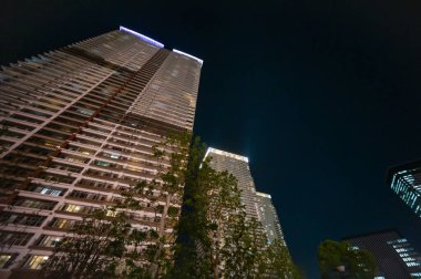 Tokyo 'daki Kule Konağı