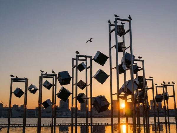 Japonya Tokyo Harumi manzarası