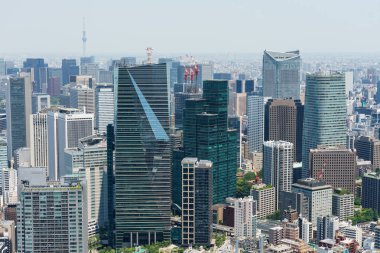 Çatı Üstü, Japonya Tokyo