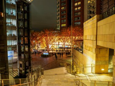 Tokyo Roppongi Tepeleri Gece Manzarası
