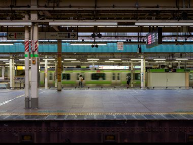 Tokyo İstasyonu, Japonya Manzarası