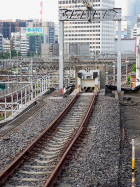 Tokyo İstasyonu, Japonya Manzarası