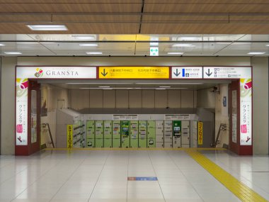 Tokyo İstasyonu, Japonya Manzarası