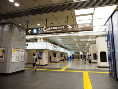 Tokyo İstasyonu, Japonya Manzarası