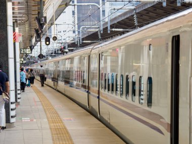 Tokyo İstasyonu, Japonya Manzarası