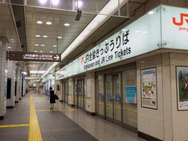 Tokyo İstasyonu, Japonya Manzarası