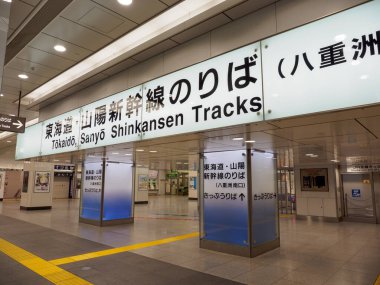 Tokyo İstasyonu, Japonya Manzarası