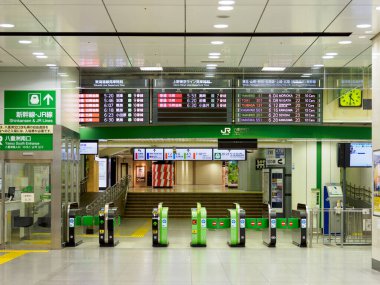 Tokyo İstasyonu, Japonya Manzarası