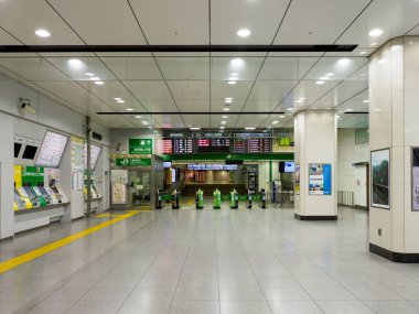 Tokyo İstasyonu, Japonya Manzarası